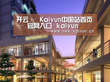 案例展示一(图1)