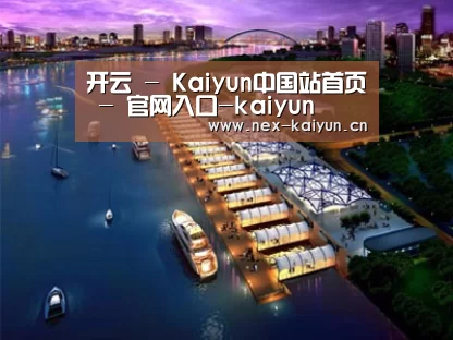 案例展示八