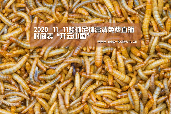 2020-11-11篮球足球高清免费直播时间表“开云中国”(图1) 开云